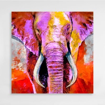 Elefante Colorful