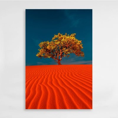 Árbol en el desierto