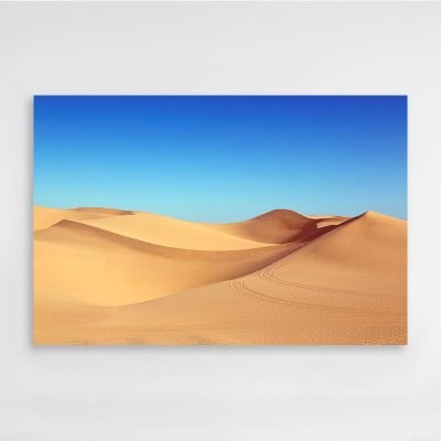 Desierto Soleado